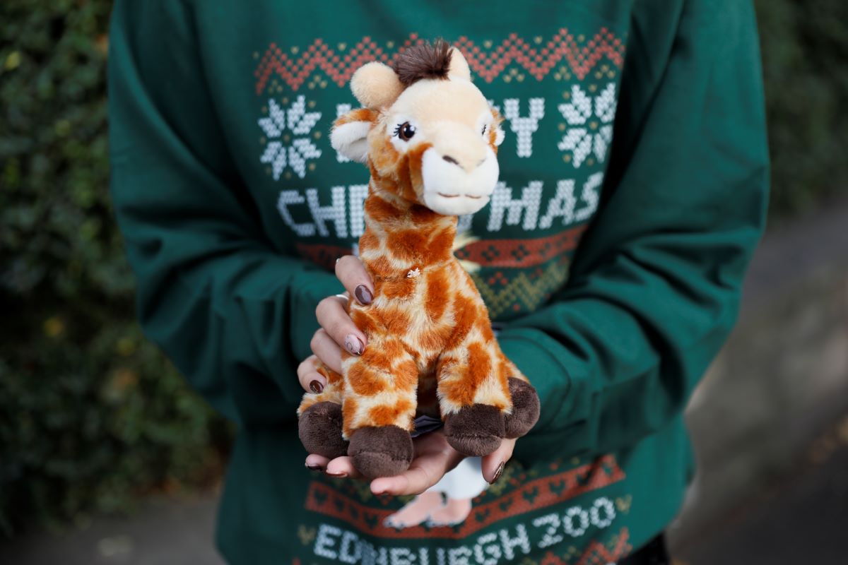 Christmas jumper and giraffe plush IMAGE: Rhiordan Langan-Fortune 2024